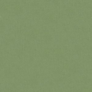 Bella Solids - Driftwood