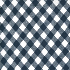 Sunday Stroll - Navy Gingham