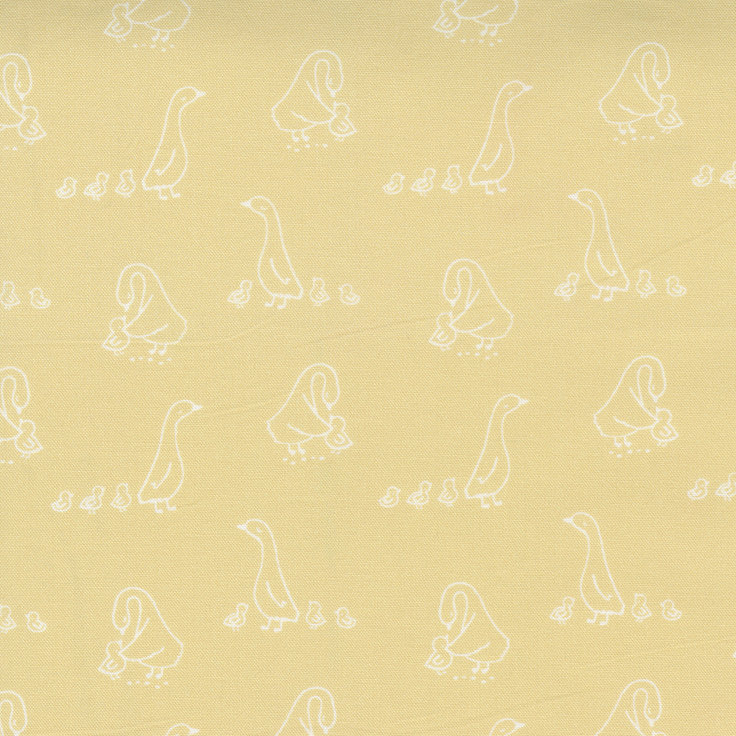 Little Ducklings Mustard Ducks Fun