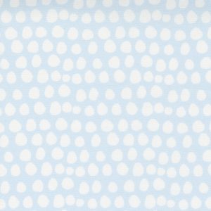 Little Ducklings Blue Egg