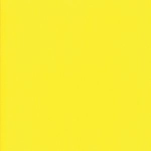 Bella Solids - Sunflower NEW!!!