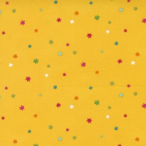 Rainbow Garden Yellow Stars