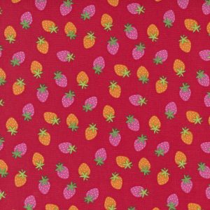 Rainbow Garden Red Strawberries