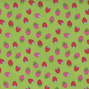 Rainbow Garden Sprout Strawberries