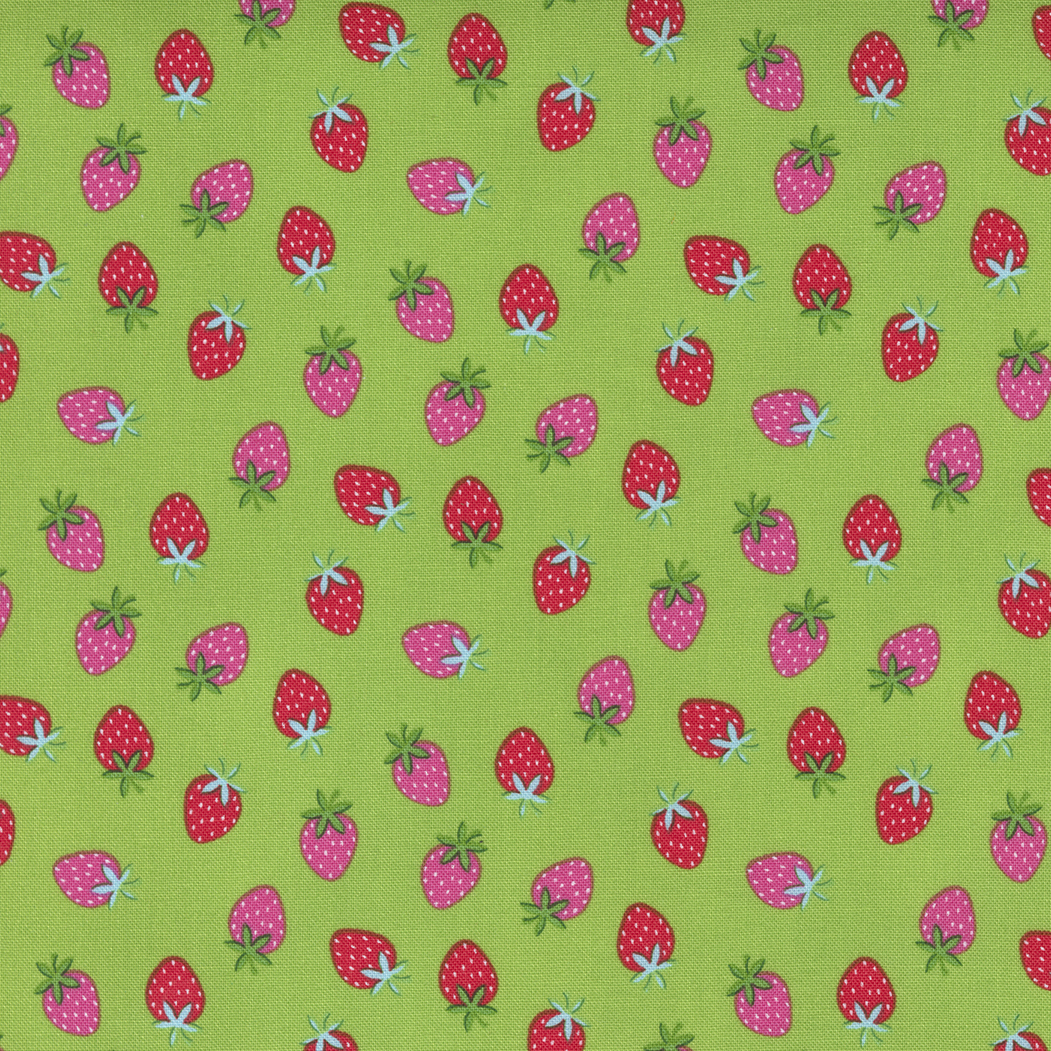 Rainbow Garden Sprout Strawberries