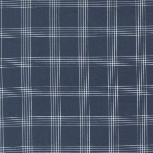 Nantucket Navy Check