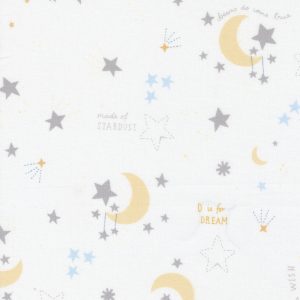 Dream 17 - White and Silver Moon