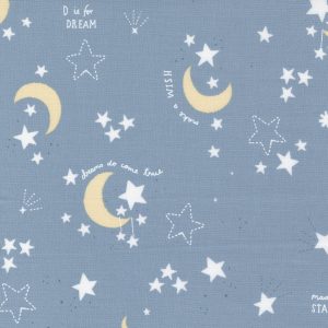 Dream 19 - Blue Moon