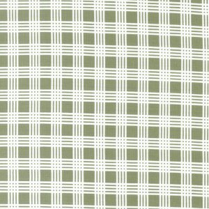 Fern Check