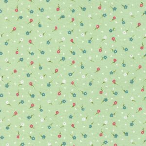 Strawberry Lemonade Mint Backgrond