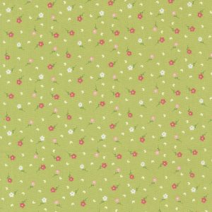 Strawberry Lemonade Lime Background