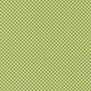 Strawberry Lemonade Lime Check