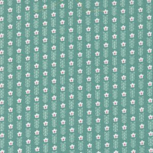 Strawberry Lemonade Teal Background