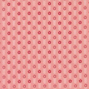Strawberry Lemonade Carnation Background