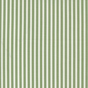 Shoreline Green Stripe