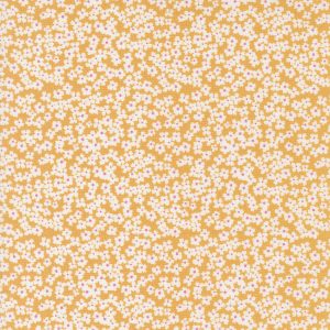 Shine Orangesicle Floral