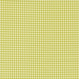 Shine Grass Gingham