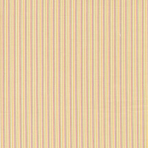 Shine Stripe