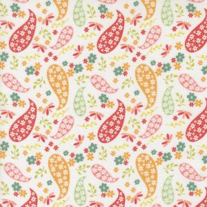 Raspberry Summer Paisley Cloud