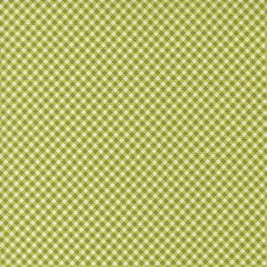 Raspberry Summer Lime Gingham