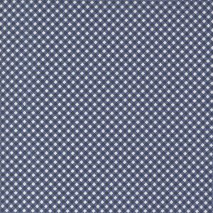 Raspberry Summer Blueberry Gingham