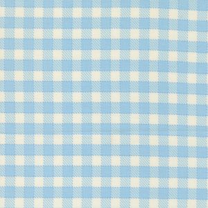 Animal Park Fun Sky Gingham