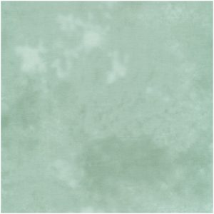 QS Mint Green New