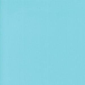 Bella Solids Robins Egg NEW!!!