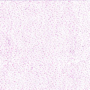 Bali Dot Pink Mix NEW!!!