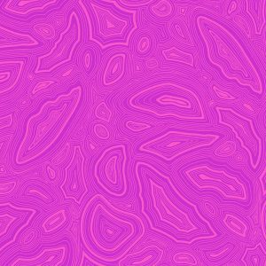 Tula Pink True Colours 14