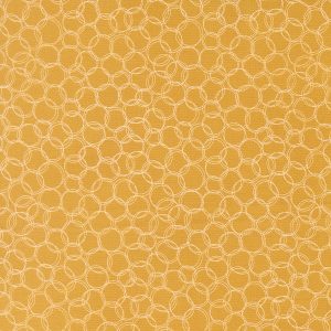Honeyed Horizon Honey Circles